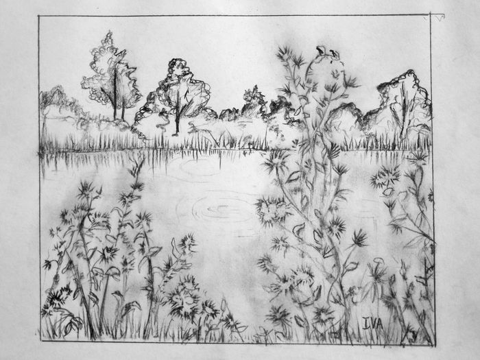 Art Studio PALETTE. Iva Staykova Picture.  Pencil Landscape Nature 