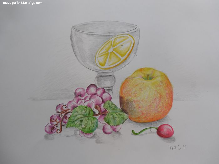 Art Studio PALETTE. Iva Staykova Picture.  Coloured Pencil Still Life Still Life 