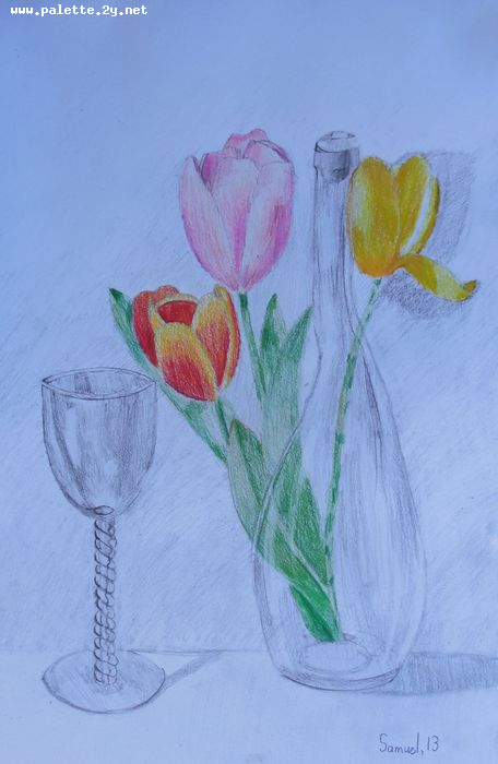 Art Studio PALETTE. Samuel Lukose Picture.  Coloured Pencil Still Life Still Life 