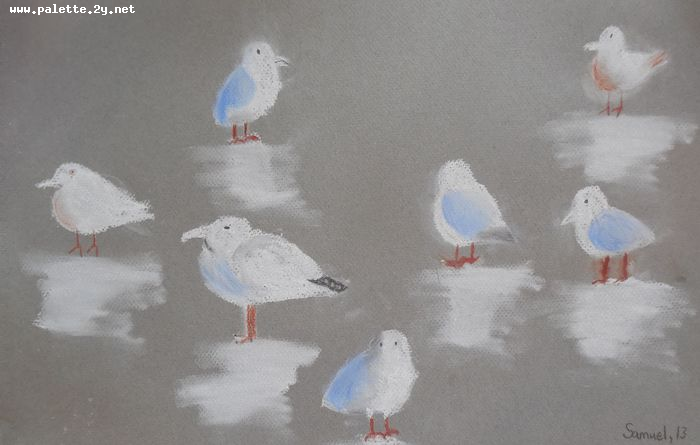 Art Studio PALETTE. Samuel Lukose Picture.  Pastel Animals Birds 