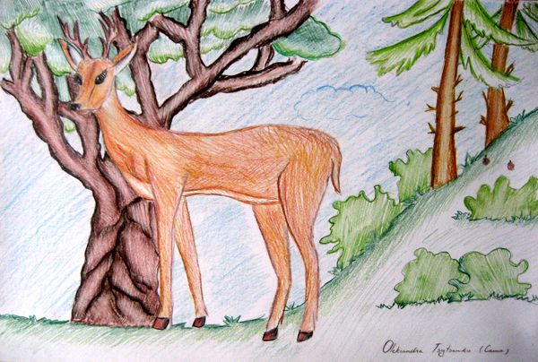 Art Studio PALETTE. Aleksandra Tsytsenko Picture. Fine Art Paper Coloured Pencil Animals Mix 
