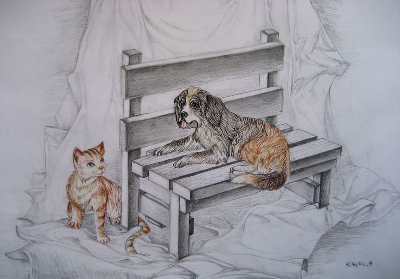 Art Studio PALETTE. Katarina  Picture.  Coloured Pencil Animals Mix 