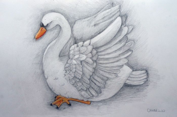 Art Studio PALETTE. Cheska O.Retita Picture.  Pencil Animals Birds 