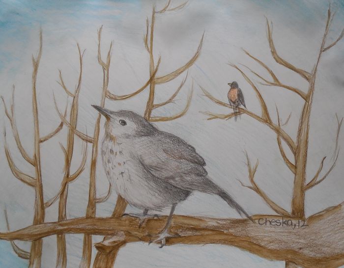 Art Studio PALETTE. Cheska O.Retita Picture.  Coloured Pencil Animals Birds 