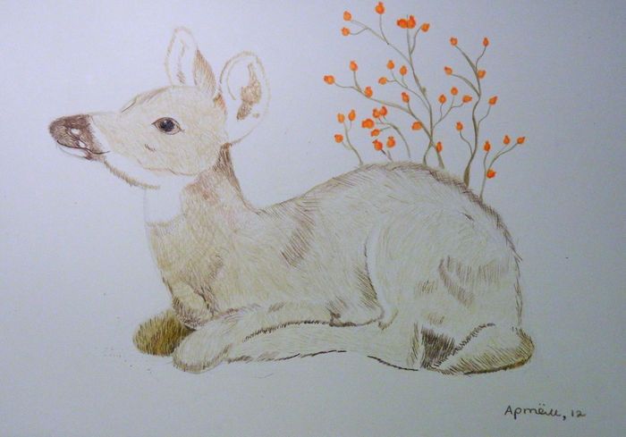 Art Studio PALETTE. Artem Miasnykov Picture.  Coloured Pencil Animals Mix 