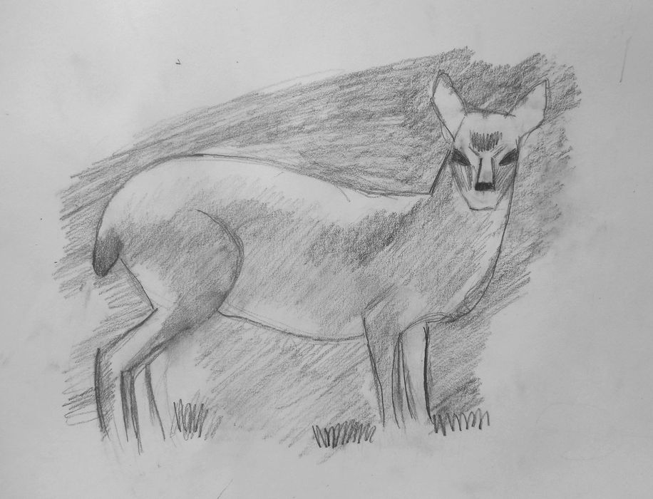 Art Studio PALETTE. Artem Miasnykov Picture.  Pencil Animals Mix 