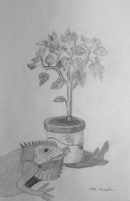 Art Studio PALETTE. Artem Miasnykov Picture.  Pencil Still Life Still Life 