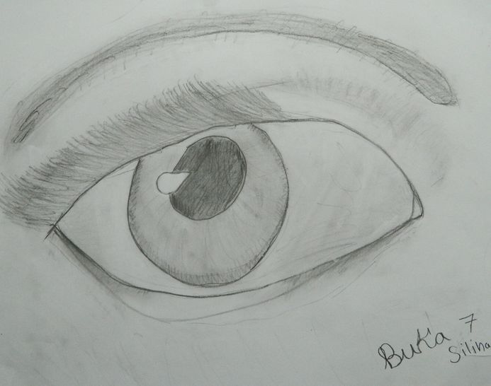 Art Studio PALETTE. Viktoria Silina Picture.  Pencil   