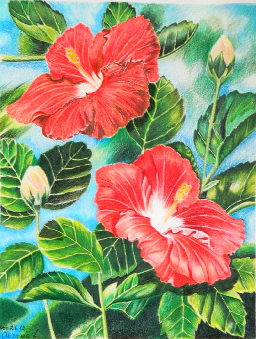 Art Studio PALETTE. Oksana Latynina Picture.  Coloured Pencil Plants Flowers 