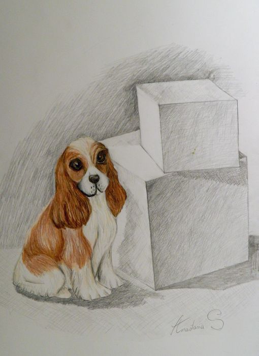 Art Studio PALETTE. Anastasiia Sergeyenko Picture.  Pencil Still Life Still Life 