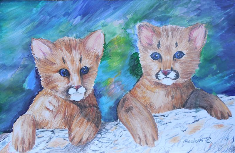 Art Studio PALETTE. Anastasiia Sergeyenko Picture.  Mixed Media Animals Cats 