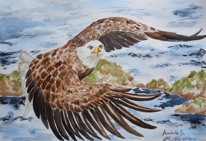 Art Studio PALETTE. Anastasiia Sergeyenko Picture.  Watercolour Animals Birds Крутой Поворот