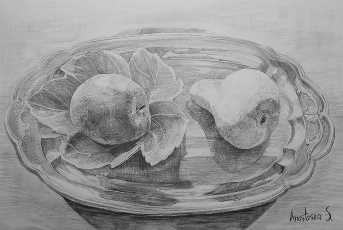 Art Studio PALETTE. Anastasiia Sergeyenko Picture.  Pencil Still Life Still Life 