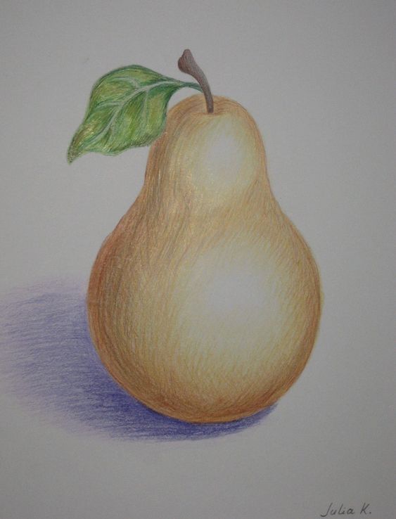 Art Studio PALETTE. Julia Maslova Picture.  Coloured Pencil Still Life Fruits & Vegi 