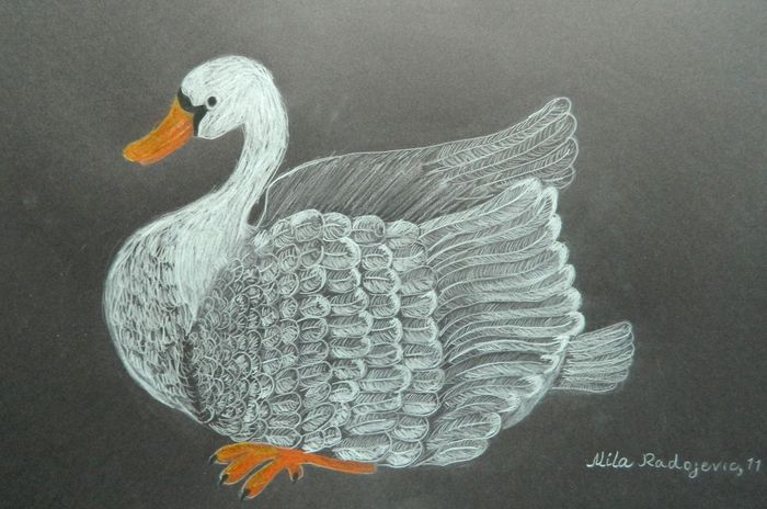 Art Studio PALETTE. Mila Radojevic Picture.   Animals Birds 