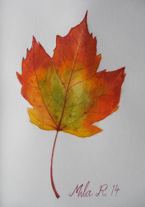 Art Studio PALETTE. Mila Radojevic Picture.  Watercolour Plants Leaves 