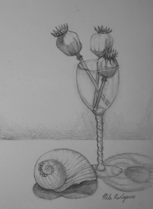 Art Studio PALETTE. Mila Radojevic Picture.  Pencil Still Life Still Life 