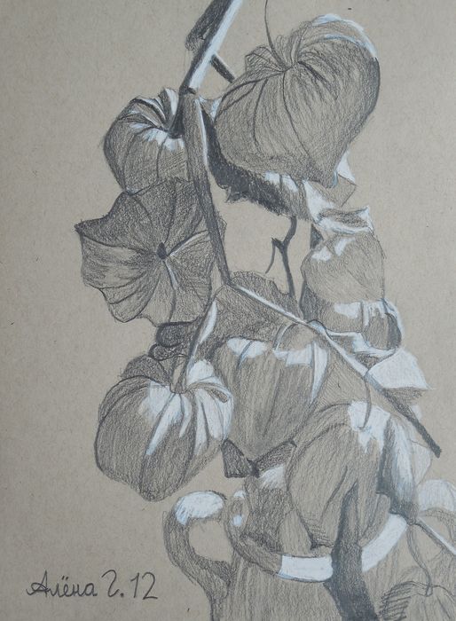 Art Studio PALETTE. Alyona Glazyrina Picture.  Pencil Plants Garden 