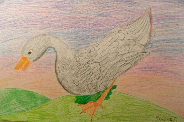 Art Studio PALETTE. Savanna Cornfield Picture.  Coloured Pencil Animals Birds 