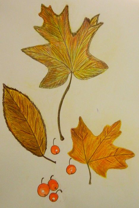 Art Studio PALETTE. Sarah Nakashima Picture.   Plants Leaves 