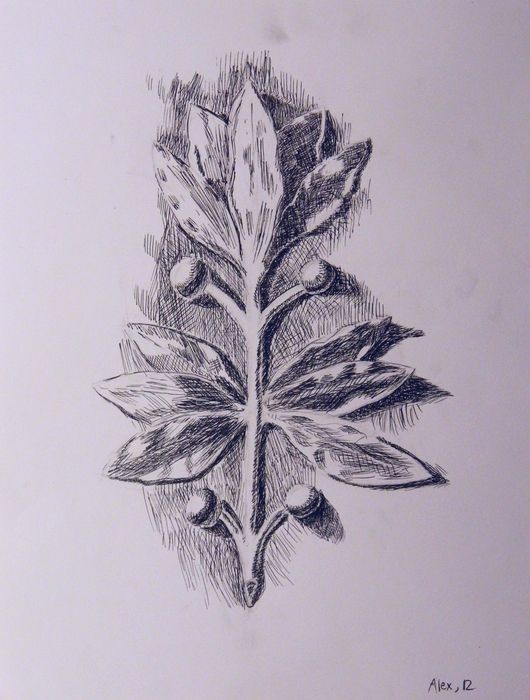 Art Studio PALETTE. Alexander Zajaczkowski Picture.  Ink Plants Leaves 