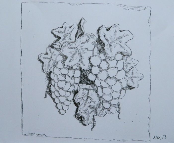 Art Studio PALETTE. Alexander Zajaczkowski Picture.  Ink Still Life Fruits & Vegi 