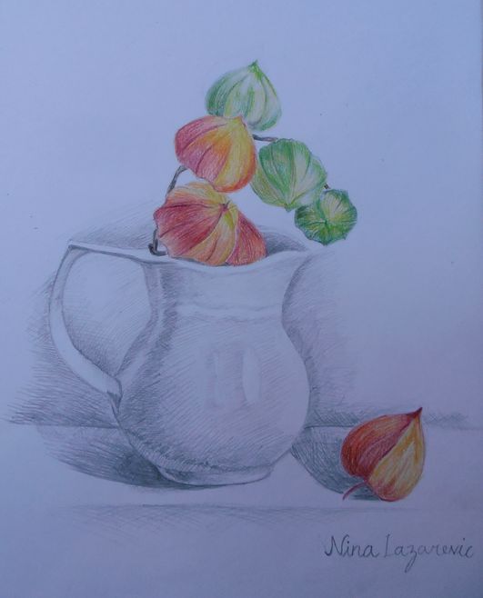 Art Studio PALETTE. Nina Lazarevic Picture.  Pencil Still Life Still Life 