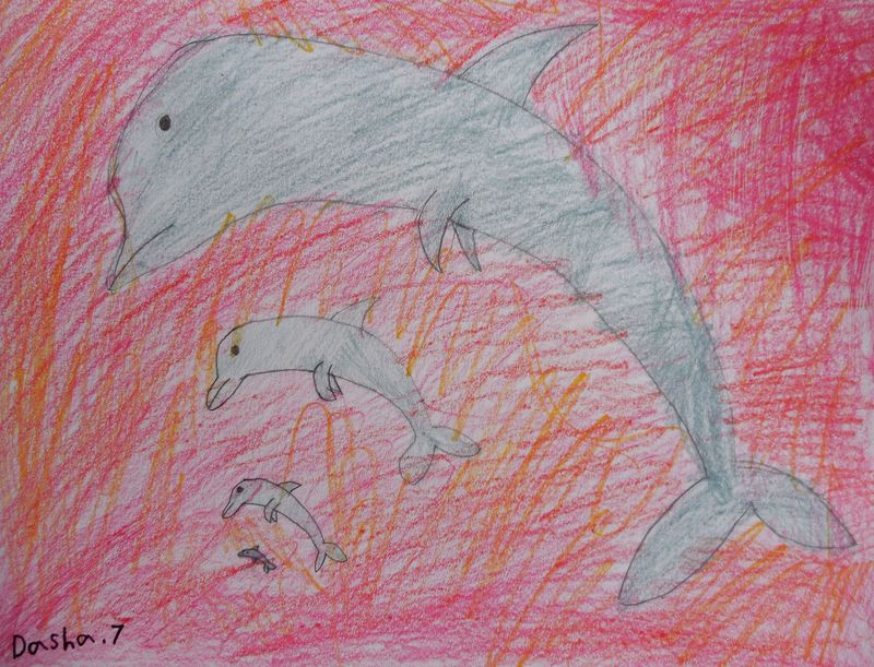 Art Studio PALETTE. Dasha Barin Picture.  Coloured Pencil Animals Fish 