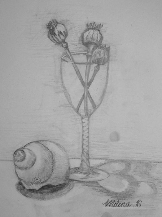 Art Studio PALETTE. Milena Markovich Picture.  Pencil Still Life Still Life 