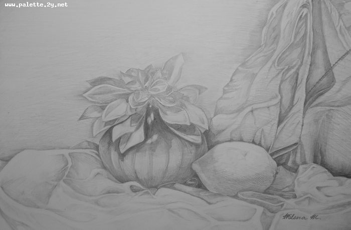 Art Studio PALETTE. Milena Markovich Picture.  Pencil Still Life Still Life 