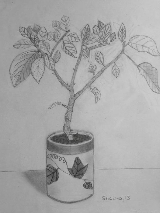 Art Studio PALETTE. Shaina Gurevich Picture.  Pencil Landscape Trees 