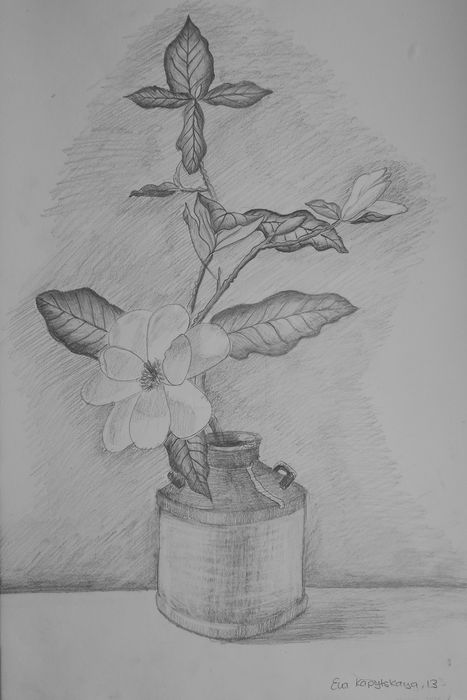 Art Studio PALETTE. Eva Kapytskaya Picture.  Pencil Still Life Still Life 