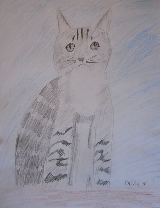 Art Studio PALETTE. Olivia Matvejeva Picture.   Animals Cats 