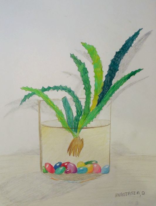 Art Studio PALETTE. Anastasia Adamchuk Picture.  Coloured Pencil Still Life Still Life 