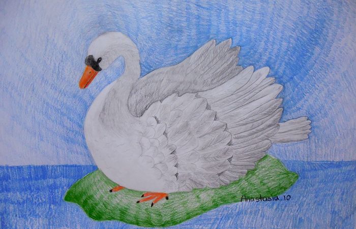 Art Studio PALETTE. Anastasia Adamchuk Picture.  Coloured Pencil Animals Birds 