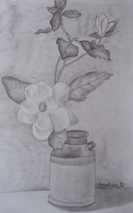 Art Studio PALETTE. Anastasia Adamchuk Picture.  Pencil Still Life Still Life 