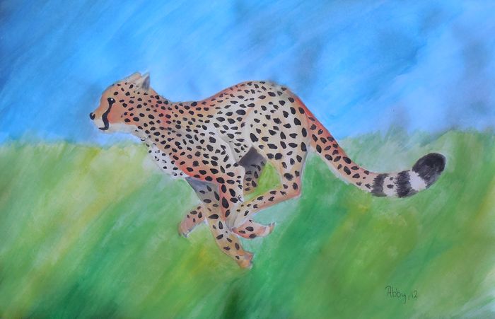 Art Studio PALETTE. Abby Soboleva Picture.  Tempera Animals Mix 