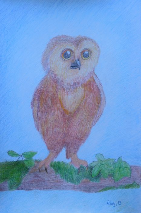 Art Studio PALETTE. Abby Soboleva Picture.  Coloured Pencil Animals Birds 