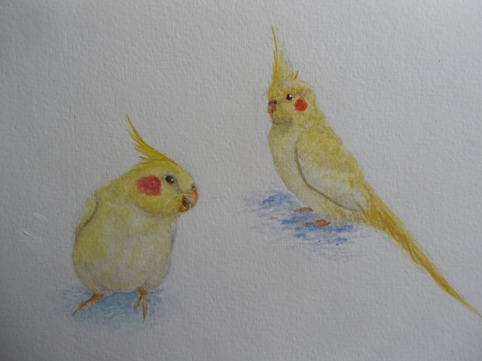 Art Studio PALETTE. Abby Soboleva Picture.   Animals Birds 