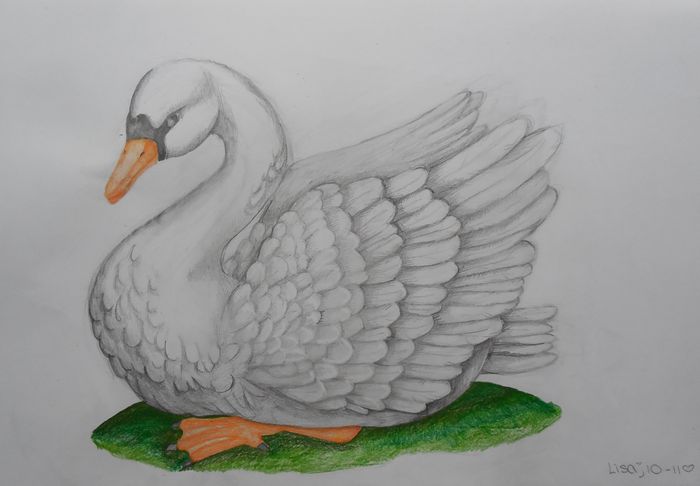 Art Studio PALETTE. Lisa Lei Picture.  Pencil Animals Birds 