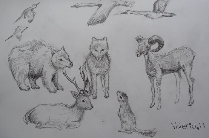 Art Studio PALETTE. Valeria Barbaneagra Picture.  Pencil Animals Mix ''''