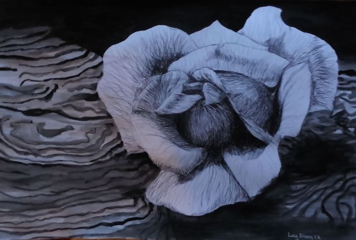 Art Studio PALETTE. Lucy Zhang Picture.  Ink Plants Flowers 