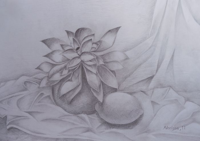 Art Studio PALETTE. Nerissa Wang Picture.  Pencil Still Life Still Life 