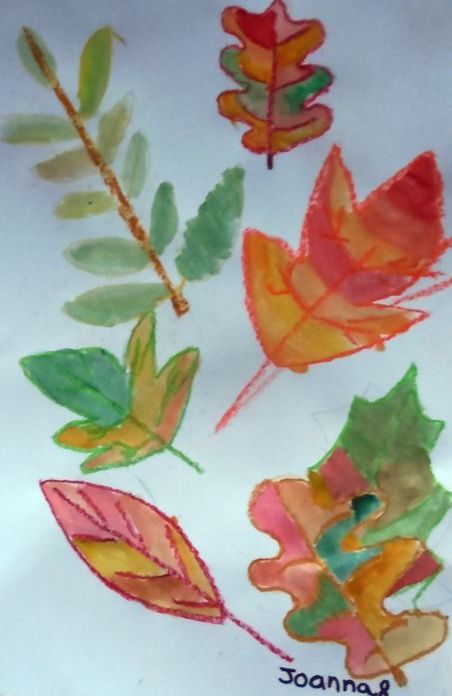 Art Studio PALETTE. Joanna Li Picture.   Plants Leaves 