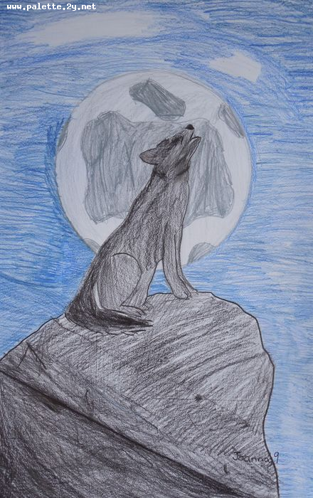 Art Studio PALETTE. Joanna Li Picture.  Coloured Pencil Animals Dogs 