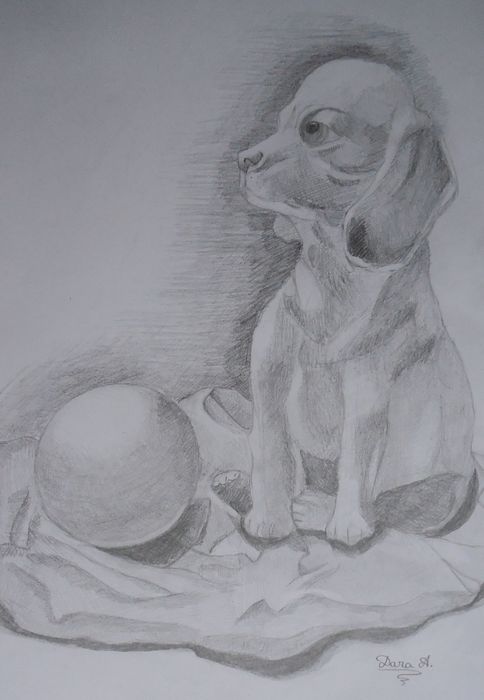 Art Studio PALETTE. Dara Ardjieva Picture.  Pencil Still Life Still Life 