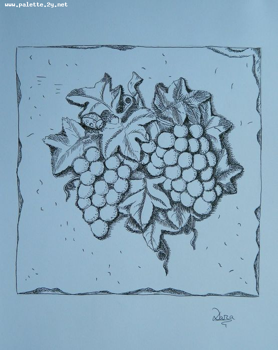 Art Studio PALETTE. Dara Ardjieva Picture.  Ink Still Life Fruits & Vegi 