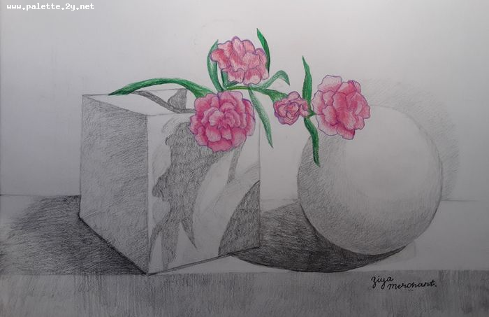 Art Studio PALETTE. Ziya Merchant Picture.  Pencil Still Life Still Life 