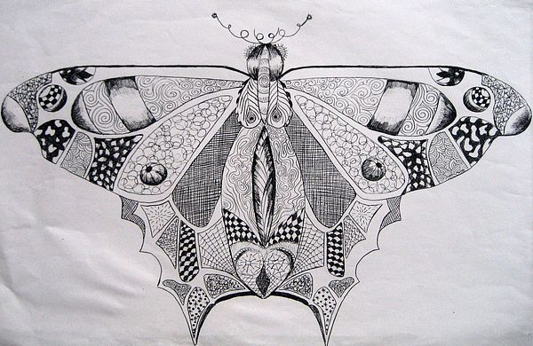 Art Studio PALETTE.  Lesson 1. Graphic drawing Butterfly. Pic.4 Olga Tchoueva. 15 y.o.